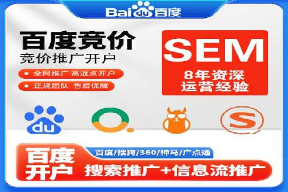 SEM广告投放的竞价策略与效果评估案例